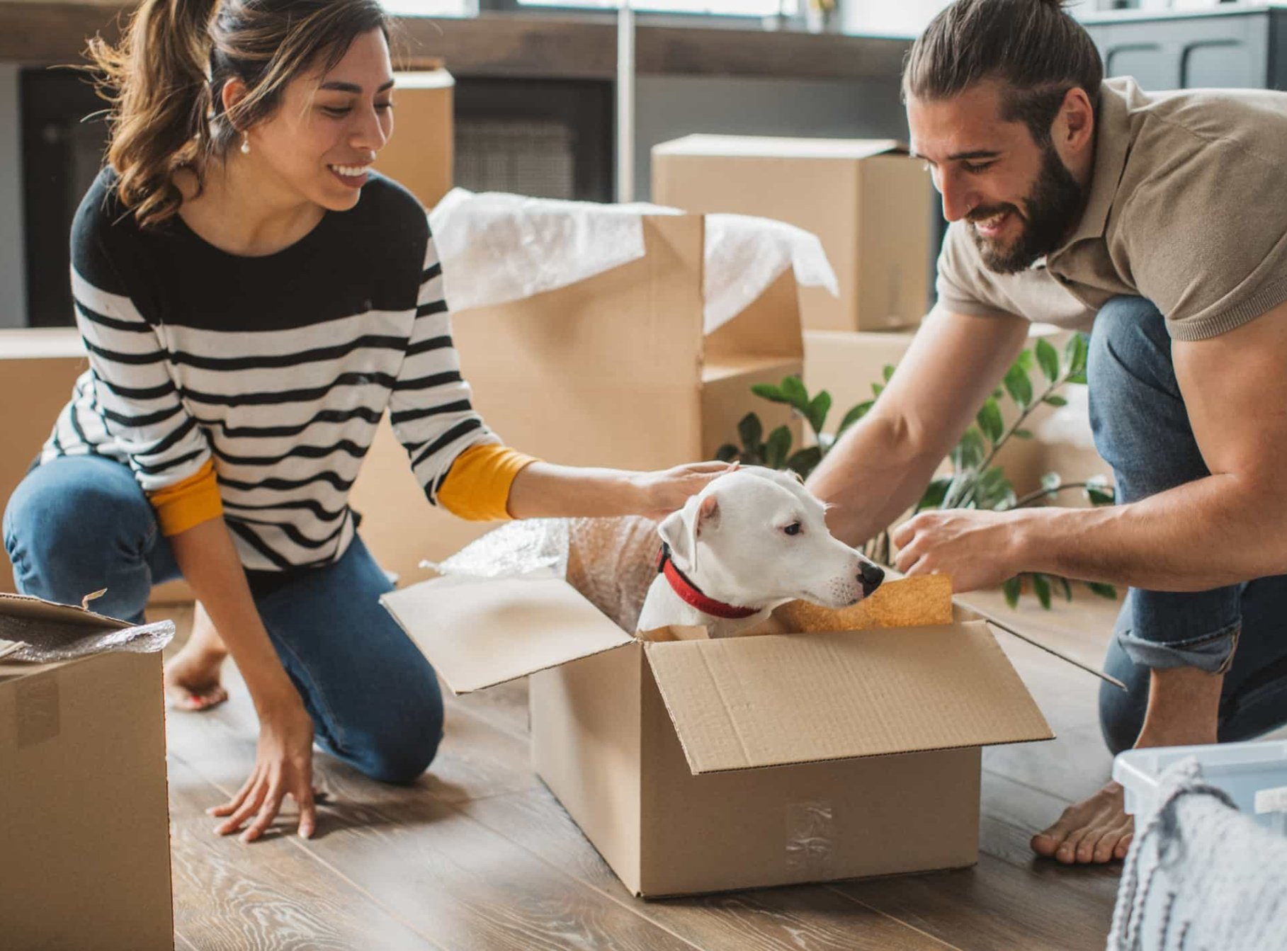 Louer avec un animal : vivre sa location sans souci